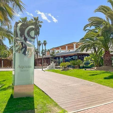 Mediterranea Loft New